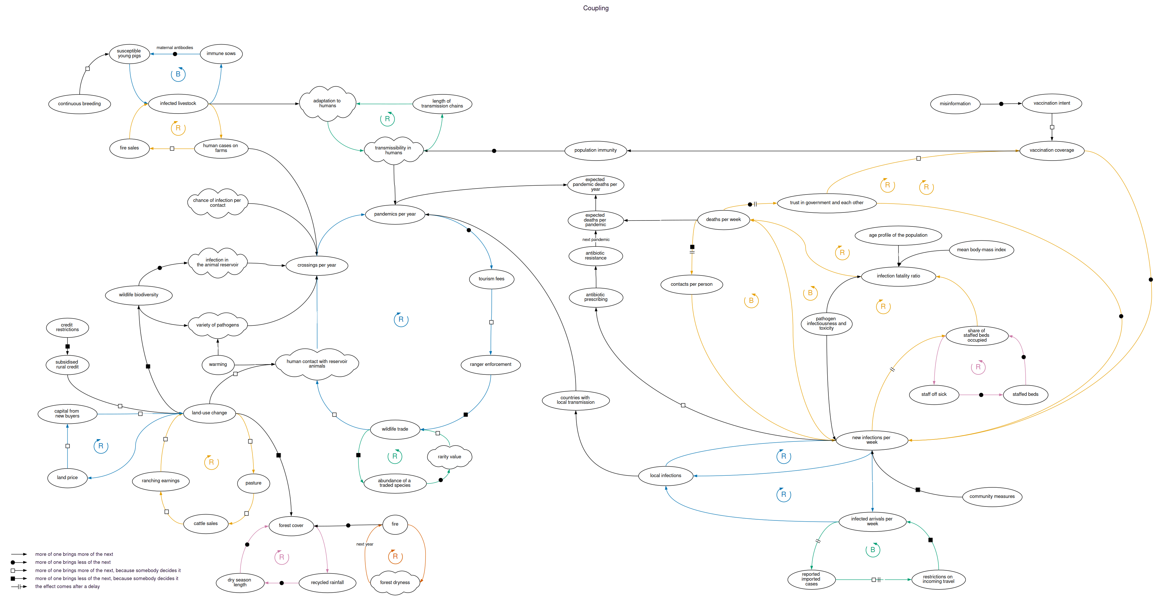 A systems map joining feedbacks around park funding, wildlife trade, crossings, weekly infections, hospital capacity, deaths, trust, vaccination and travel.