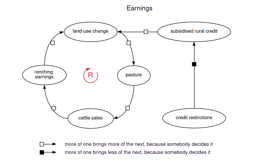 Credit restrictions lower subsidised rural credit, and less credit means less land-use change. Clearing adds pasture, more pasture carries more cattle to sell, cattle sales bring ranching earnings, and the earnings pay for more clearing, so that loop reinforces itself. Every arrow carries a square, because somebody decides each step.